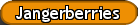 Jangerberries