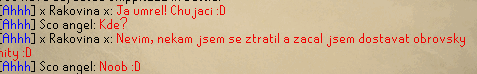 Obrázek